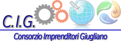 www.consorzioimprenditorigiugliano.it