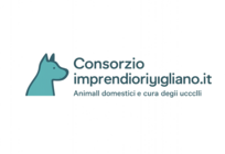 Consorzioimprenditorigiugliano.it